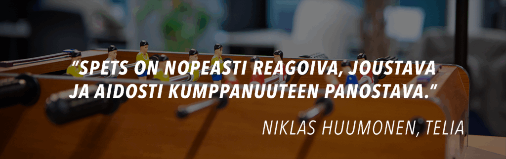 spets kuva meistä sivulle työpötyä spets kuva meistä sivulle työpötyä